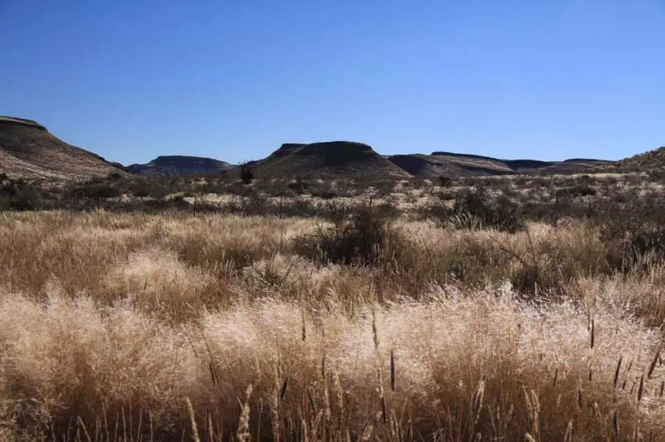 03020-Kalahri-Sossusvlei.jpg