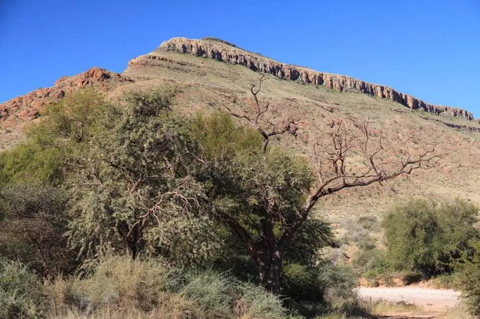 03060-Kalahari-Sossussvlei.jpg