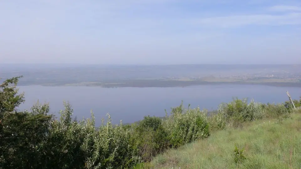 P1160139.JPG
