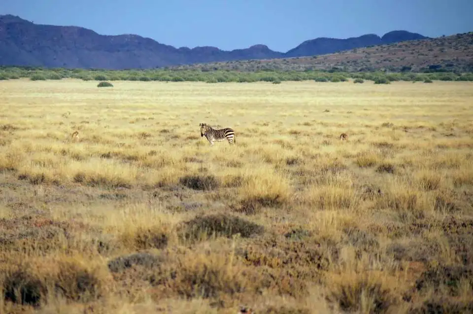 20120530Namibia5.Tag268.JPG