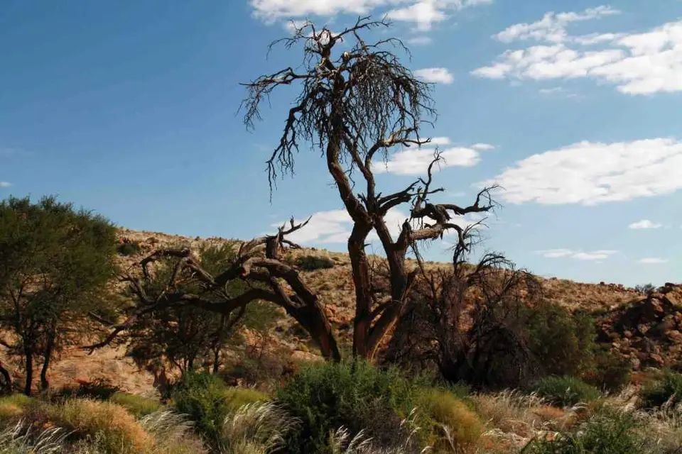20120601Namibia7.Tag153.JPG