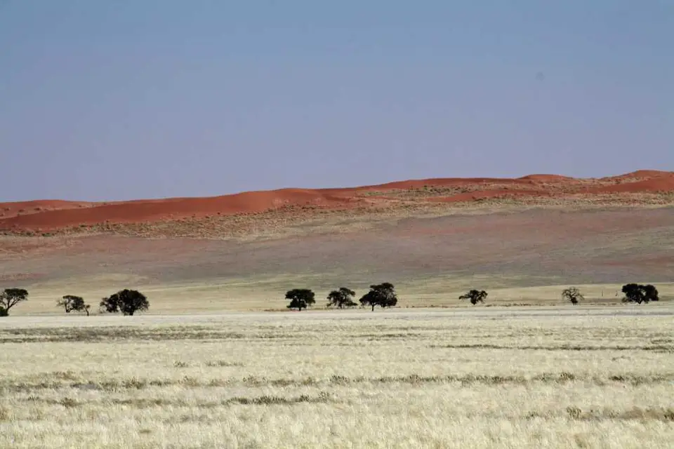 20120602Namibia8.Tag277.JPG