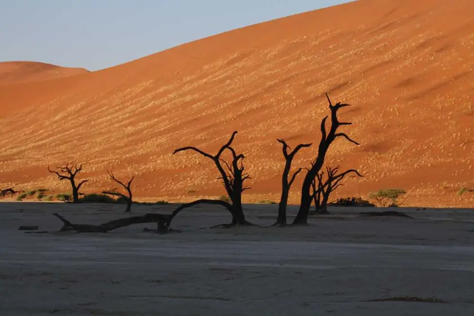 20120603Namibia9.Tag199.JPG