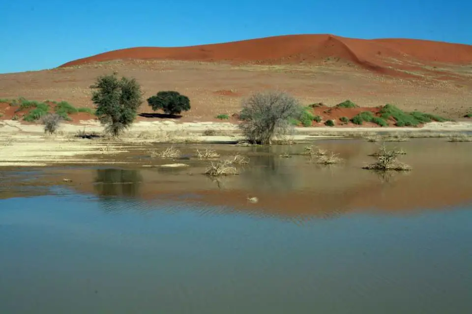 20120603Namibia9.Tag353.jpg