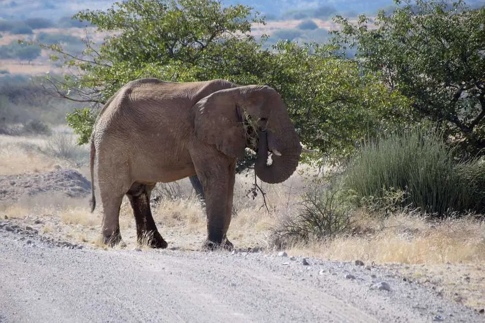 20120607Namibia13.Tag93.jpg