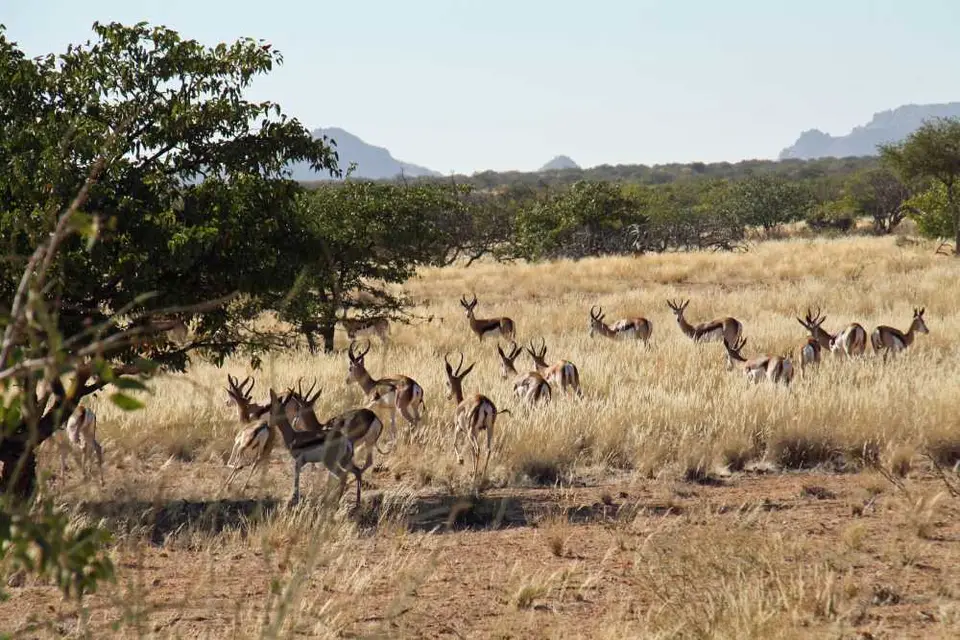 20120608Namibia14.Tag11.JPG