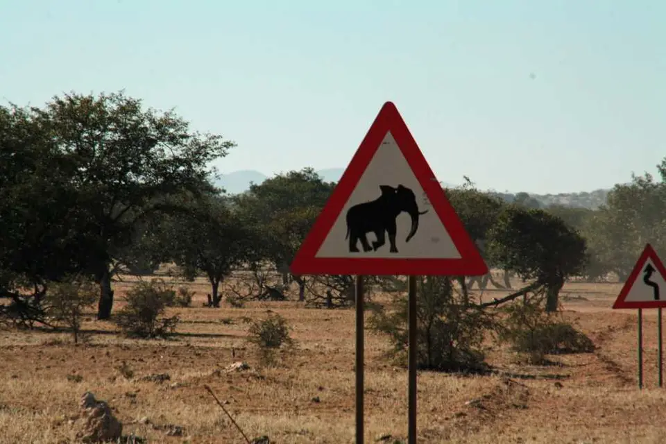 20120608Namibia14.Tag14.JPG