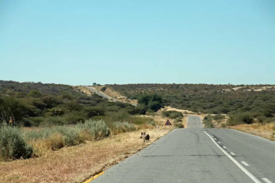 20120608Namibia14.Tag20.JPG