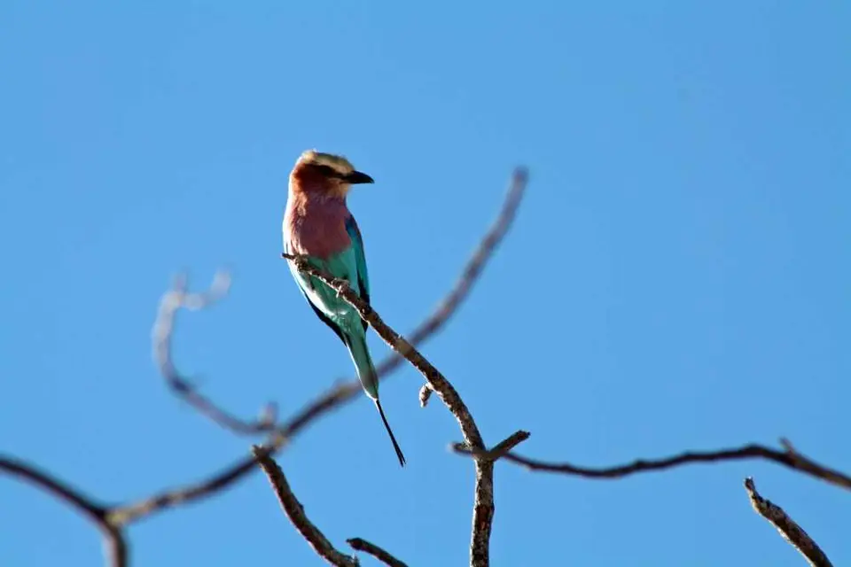 20120608Namibia14.Tag74.JPG