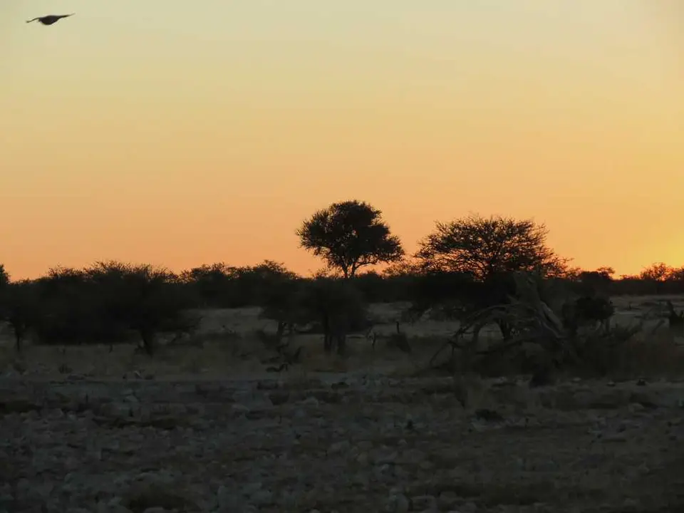 20120608Namibia14.Tag84.JPG