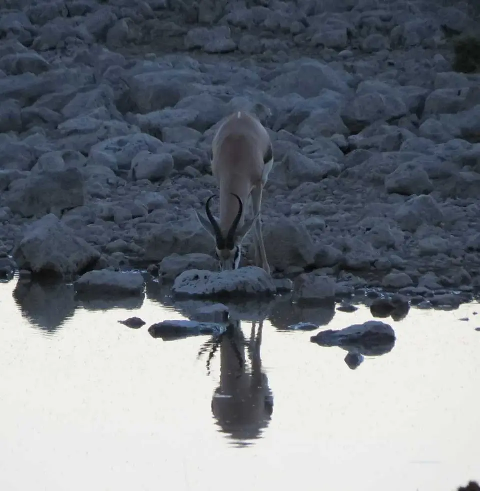 20120608Namibia14.Tag86.JPG
