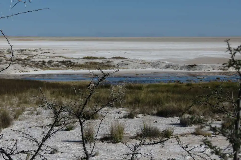 20120609Namibia15.Tag134.JPG