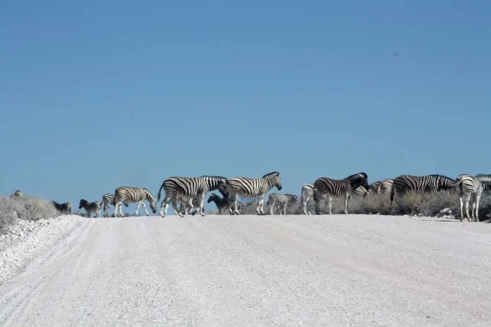 20120609Namibia15.Tag292.JPG