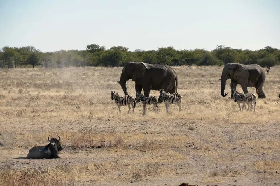 20120609Namibia15.Tag431.JPG