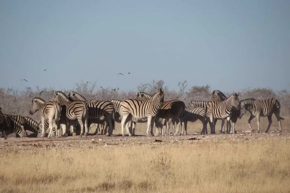 20120609Namibia15.Tag76.JPG