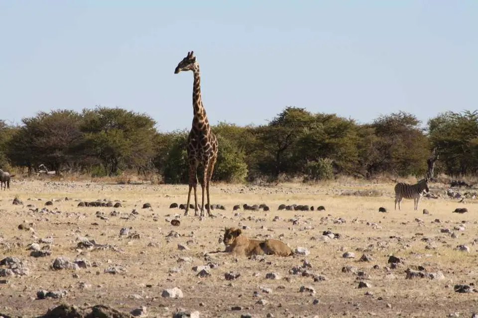 20120610Namibia16.Tag260.JPG