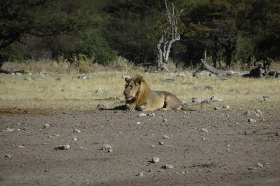20120610Namibia16.Tag269.JPG
