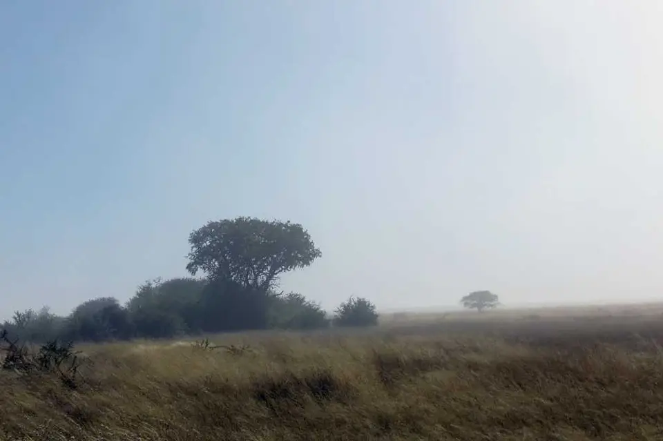 20120611Namibia17.Tag1101.jpg