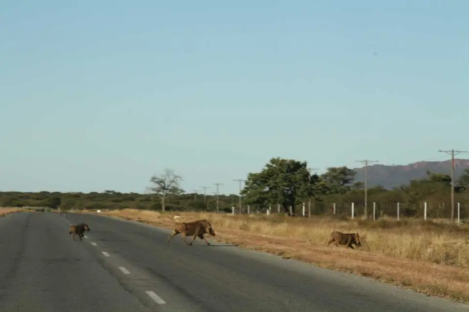 20120611Namibia17.Tag260.JPG