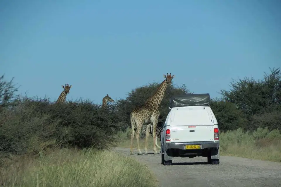 20120611Namibia17.Tag8028.jpg