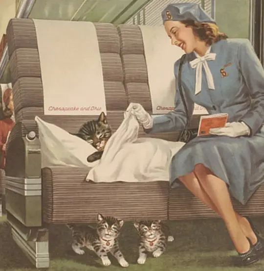 1Katzen.jpg