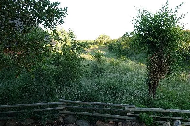 BlickWasserloch.jpg