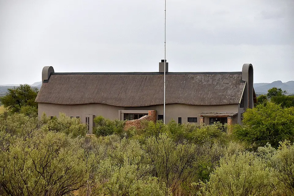 D56_6115.JPG