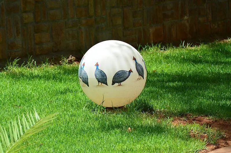 DSC_4005.jpg