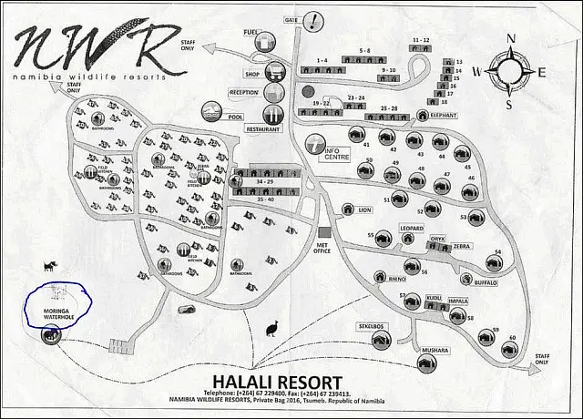Halali.JPG