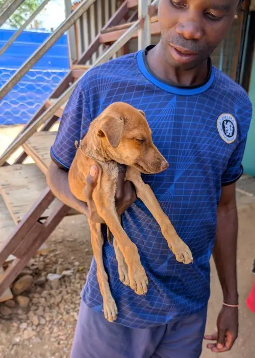 Katutura2.jpg