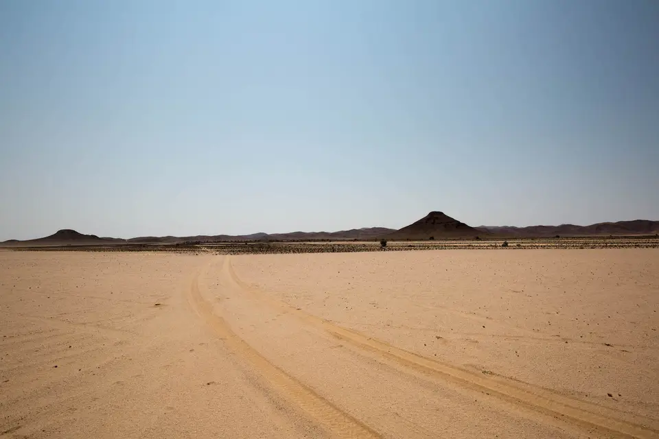 1-namiba-2017-8758.jpg