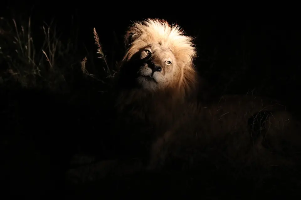 10-IMG_3851.JPG