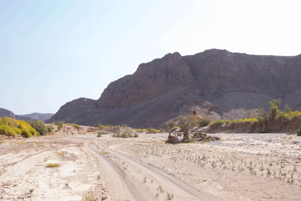 12-namiba-2017-5157.jpg