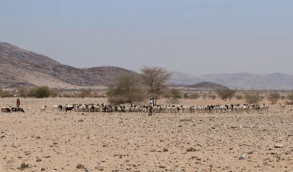 12-namiba-2017-5187.jpg