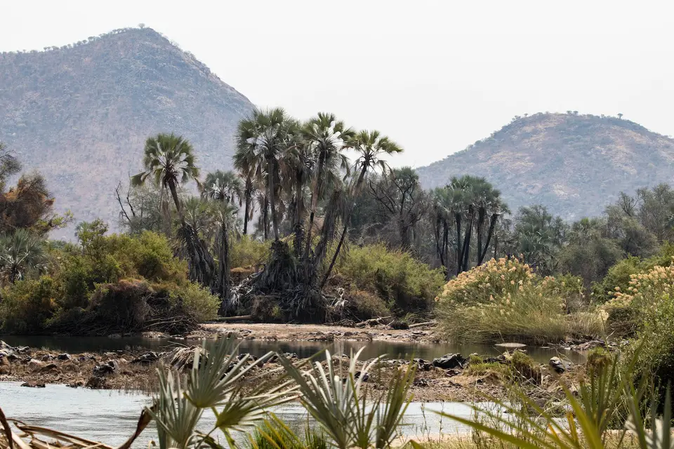 12-namiba-2017-5586.jpg