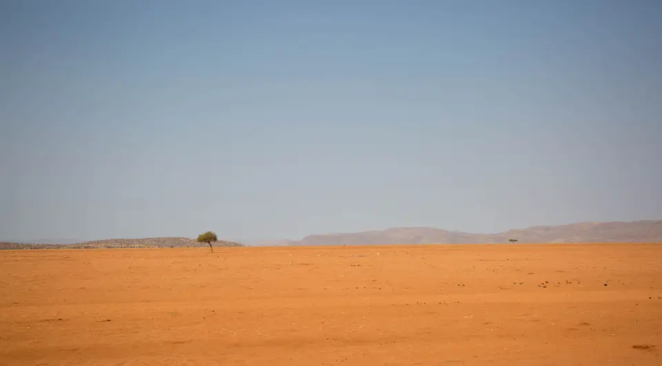 14-namiba-2017-8939.jpg