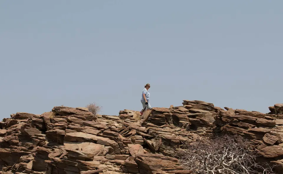 16-namiba-2017-5201.jpg