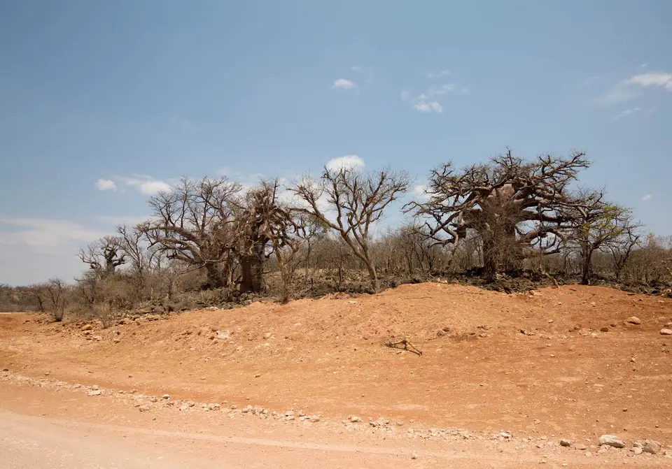 16a-namiba-2017-9413.jpg
