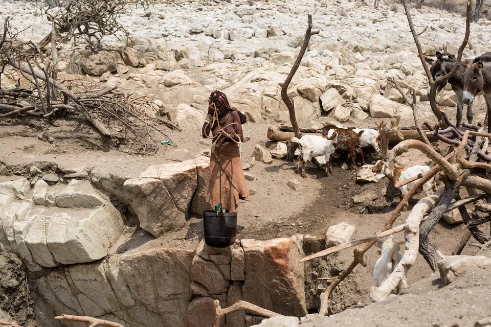 17-namiba-2017-9011.jpg