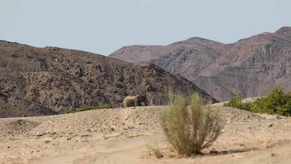 2-namiba-2017-5266.jpg