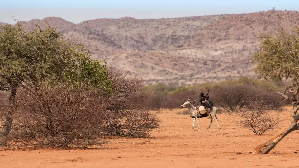 2-namiba-2017-5548.jpg