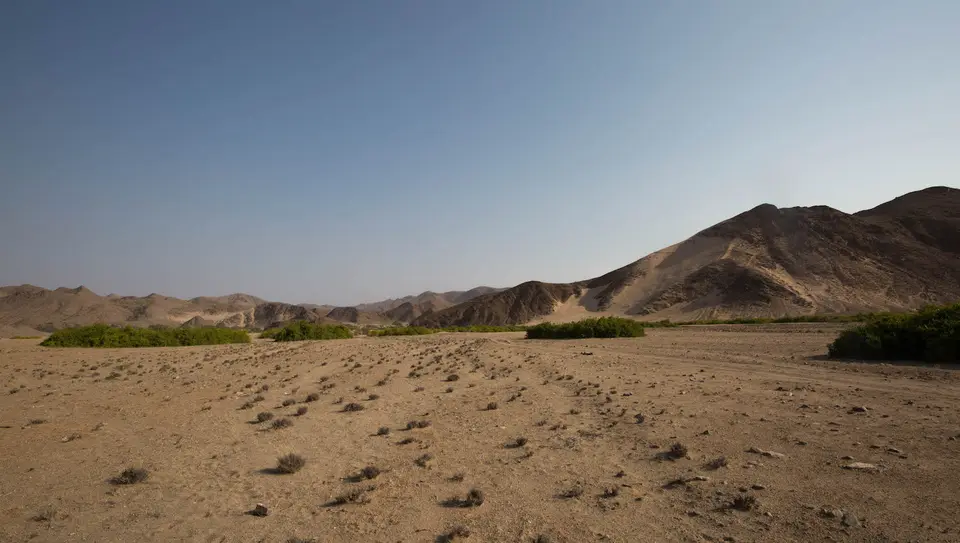 23-namiba-2017-8660.jpg