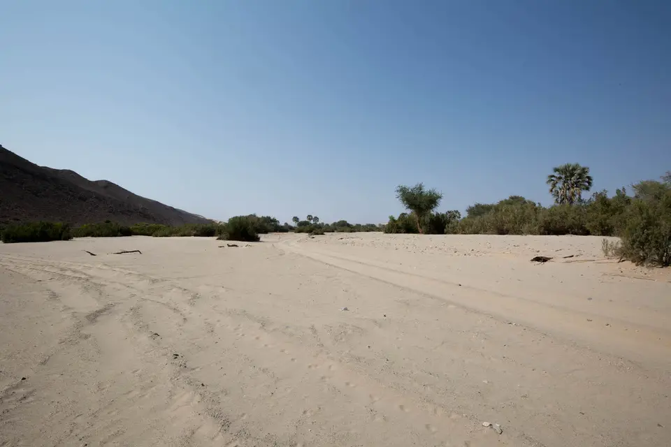 3-namiba-2017-8837.jpg