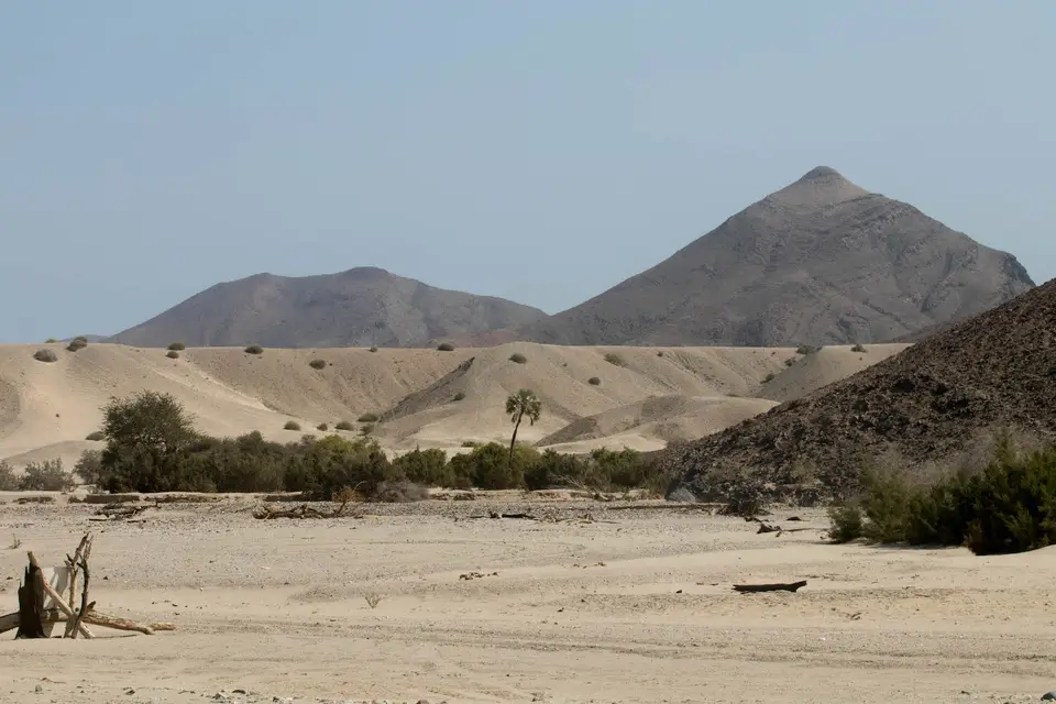 4-namiba-2017-5353.jpg