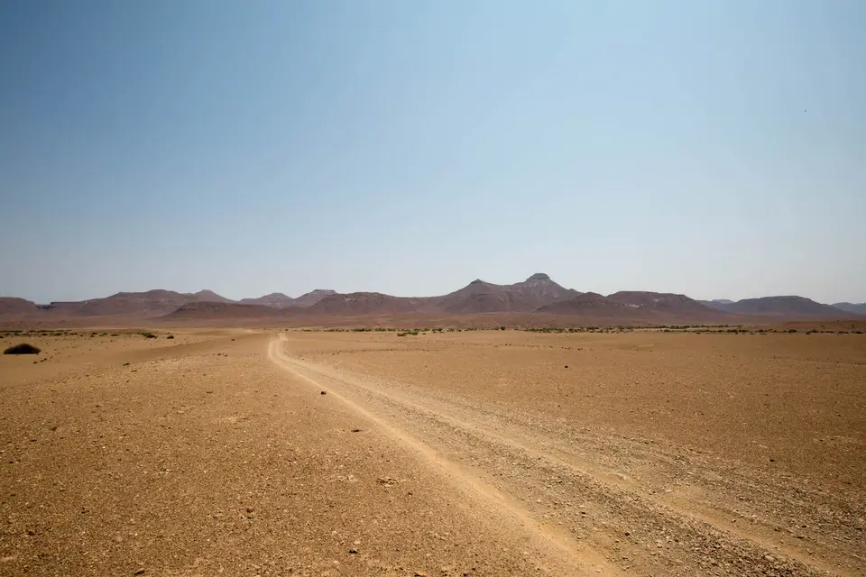 4-namiba-2017-8897.jpg