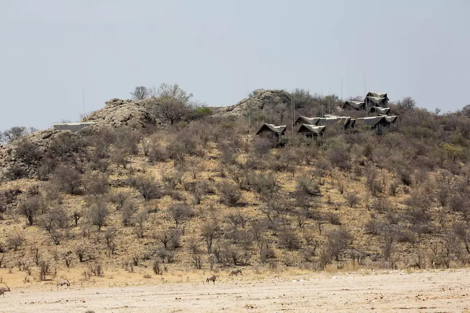 40-namiba-2017-9574.jpg