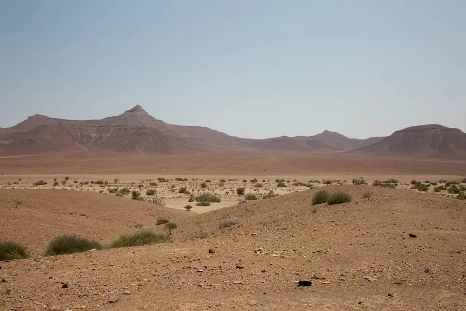 5-namiba-2017-8899.jpg