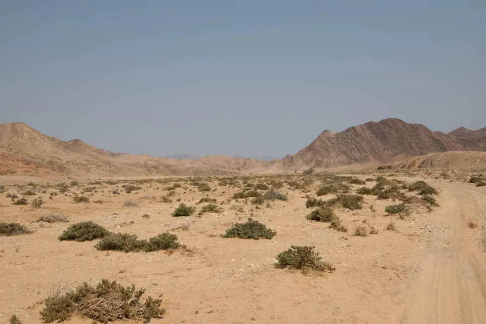 6-namiba-2017-5227.jpg