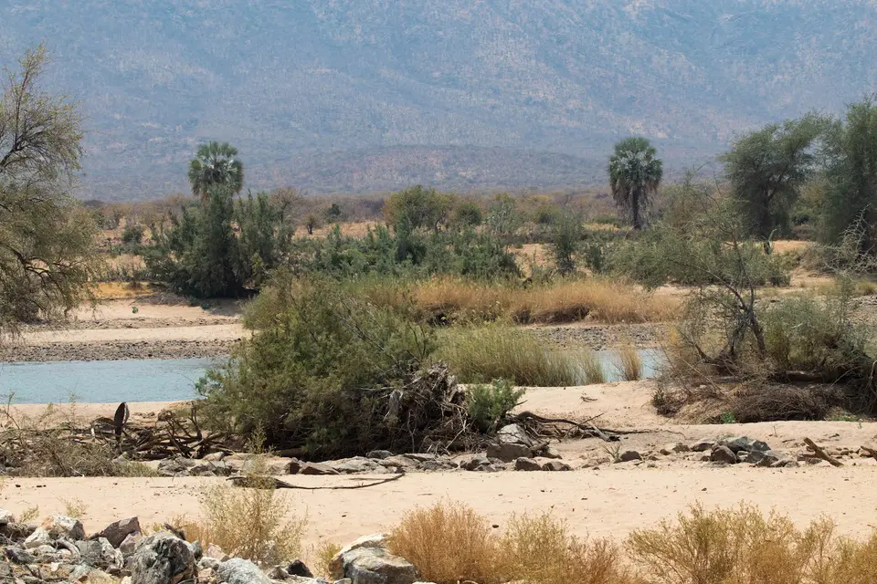 6-namiba-2017-5655.jpg