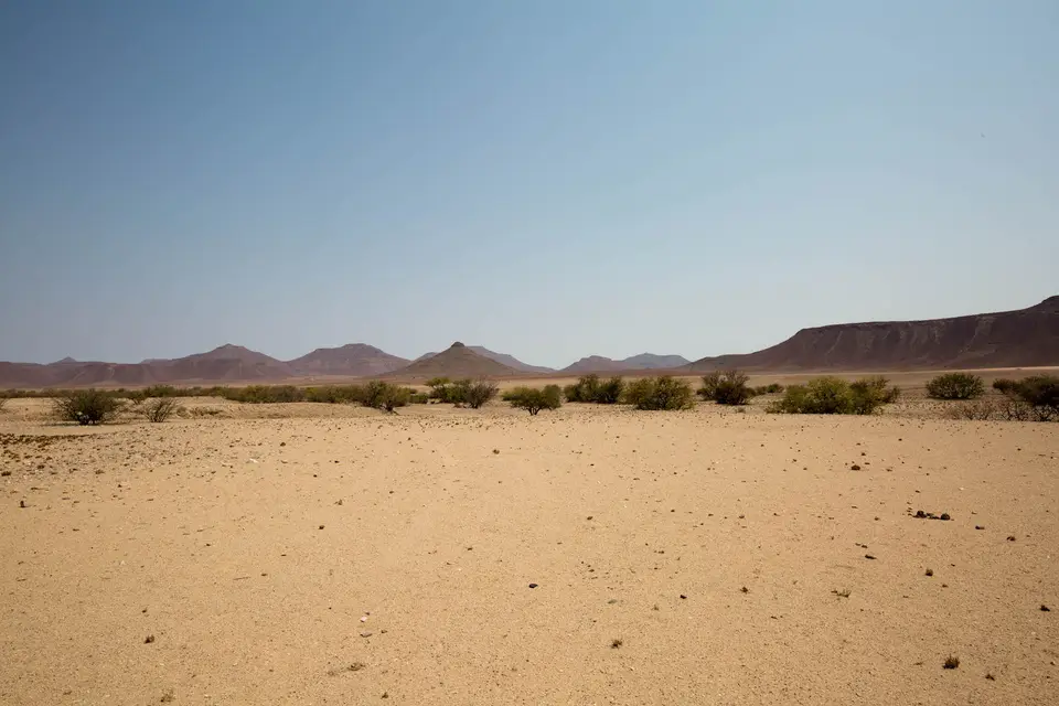 6-namiba-2017-8908.jpg